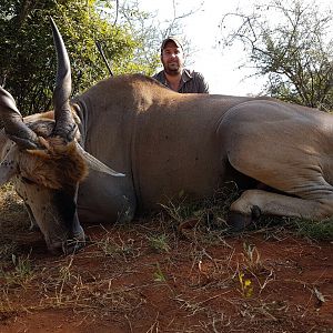 South Africa Hunting Eland