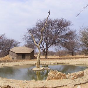 Bow Hunting Hides Namibia