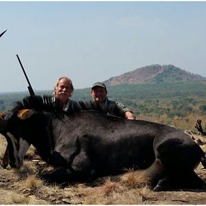 Hunt Mozambique Sable Antelope