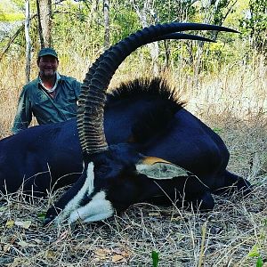 Hunt Mozambique Sable Antelope