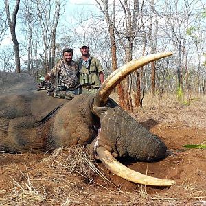 Mozambique Hunting Elephant