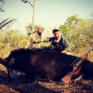 Sable Hunting in Mozambique