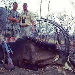 Mozambique Hunt Sable Antelope