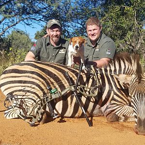 Bow Hunt Zebra in South Africa