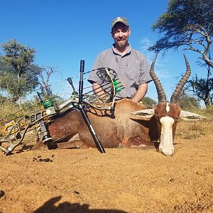 South Africa Bow Hunting Blesbok