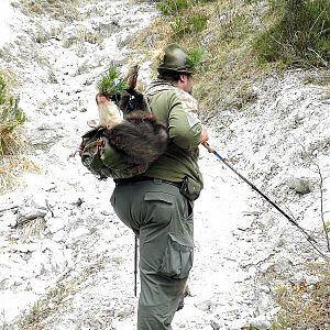 Chamois Hunt Slovenia