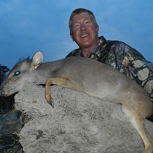 Blue Duiker Hunt Zambia