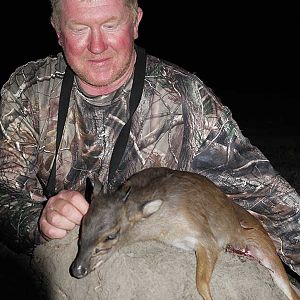 Blue Duiker Hunt Zambia