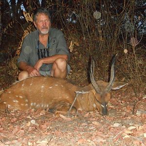 Bushbuck  Hunting Zambia