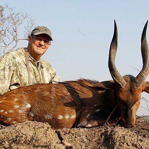 Bushbuck  Hunting Zambia