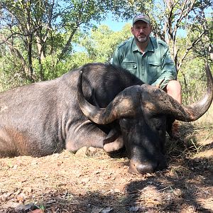 Hunting Buffalo South Africa