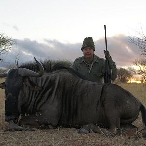 Blue Wildebeest Hunting Nambia