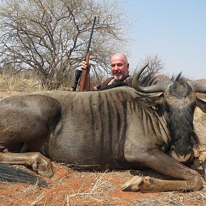 Blue Wildebeest Namibia Hunt