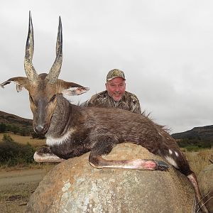 Bushbuck  Hunting in Namibia