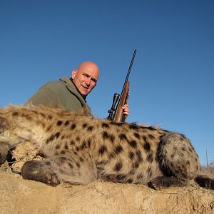 Spotted Hyena Namibia Hunt