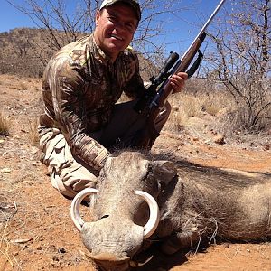 Warthog Namibia Hunting