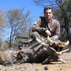 Warthog Nambia Bow Hunt