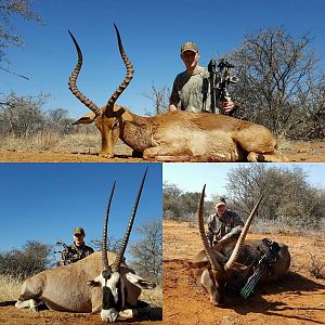Bow Hunting Impala, Gemsbok & Waterbuck South Africa