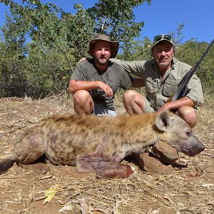 Zimbabwe Spotted Hyena Hunt