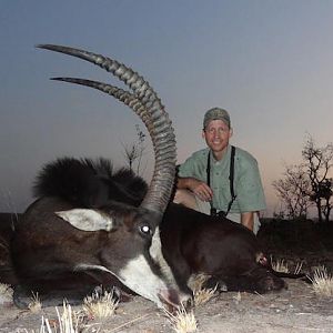 Hunt Sable Antelope Zimbabwe