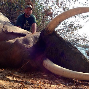 Hunting Zimbabwe Elephant