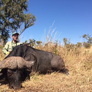 Cape Buffalo Hunt in Zimbabwe