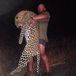 Leopard Zimbabwe Hunt