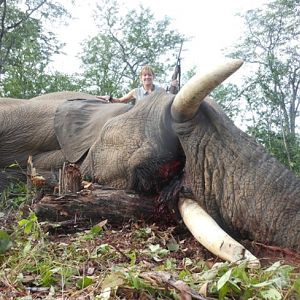 Zimbabwe Hunting Elephant