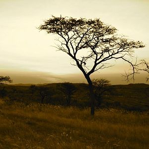 Nature Namibia Landscape