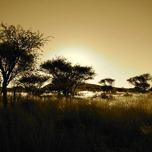 Landscape Nature Namibia