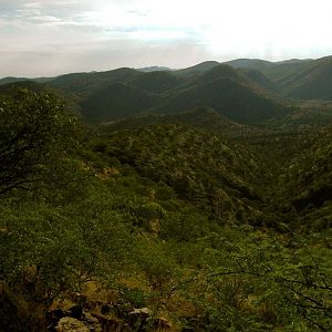 Nature Landscape Namibia