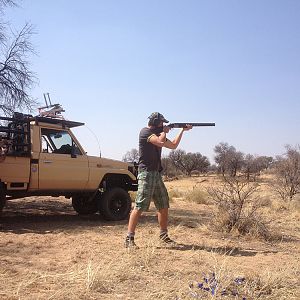 Bird hunting in Namibia