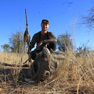 Namibia Warthog Hunt