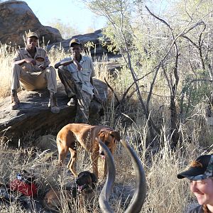 Kudu Hunting Namibia