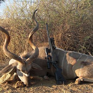 Hunt Namibia Kudu