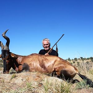 Red Hartebeest Namibia Hunt