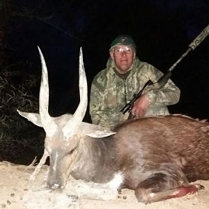 Bushbuck  Hunting South Africa