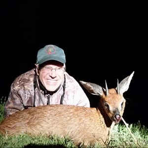 Cape Grysbok Hunting South Africa