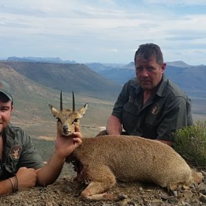 Klipspringer Hunt South Africa