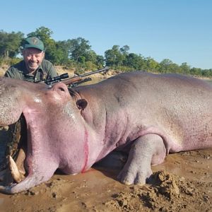 Hippo Hunt In South Africa