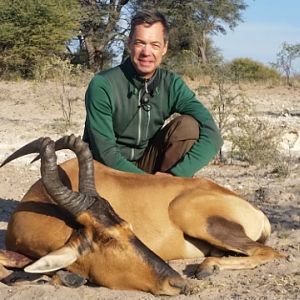 Red Hartebeest Hunt South Africa