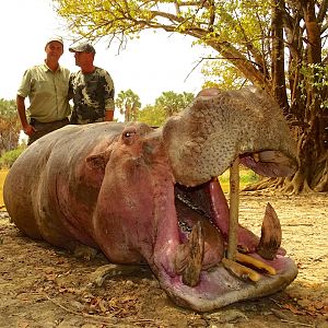 Benin Hippo Hunting