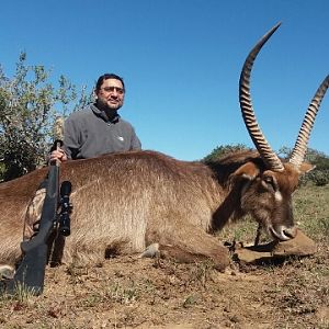 Waterbuck South Africa Hunt