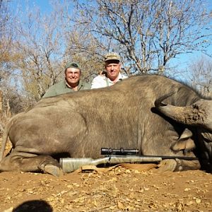 Hunting Buffalo South Africa