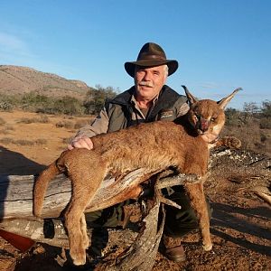 Hunting Caracal in South Africa