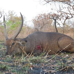 Waterbuck Burkina Faso Hunt