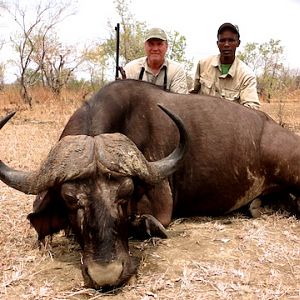 Hunting Cape Buffalo Tanzania