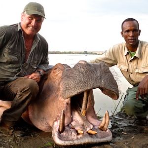 Hippo Hunt In Tanzania