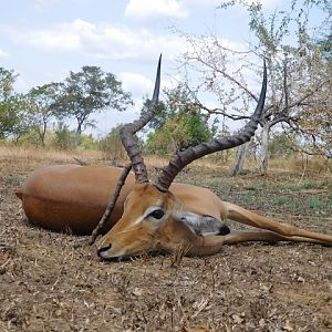 Hunting Tanzania Impala