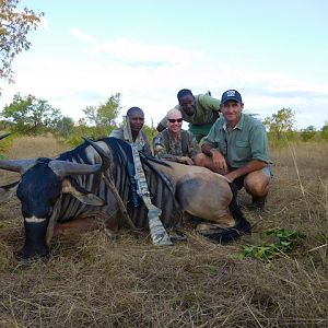 Niassa Wildebeest Tanzania Hunting